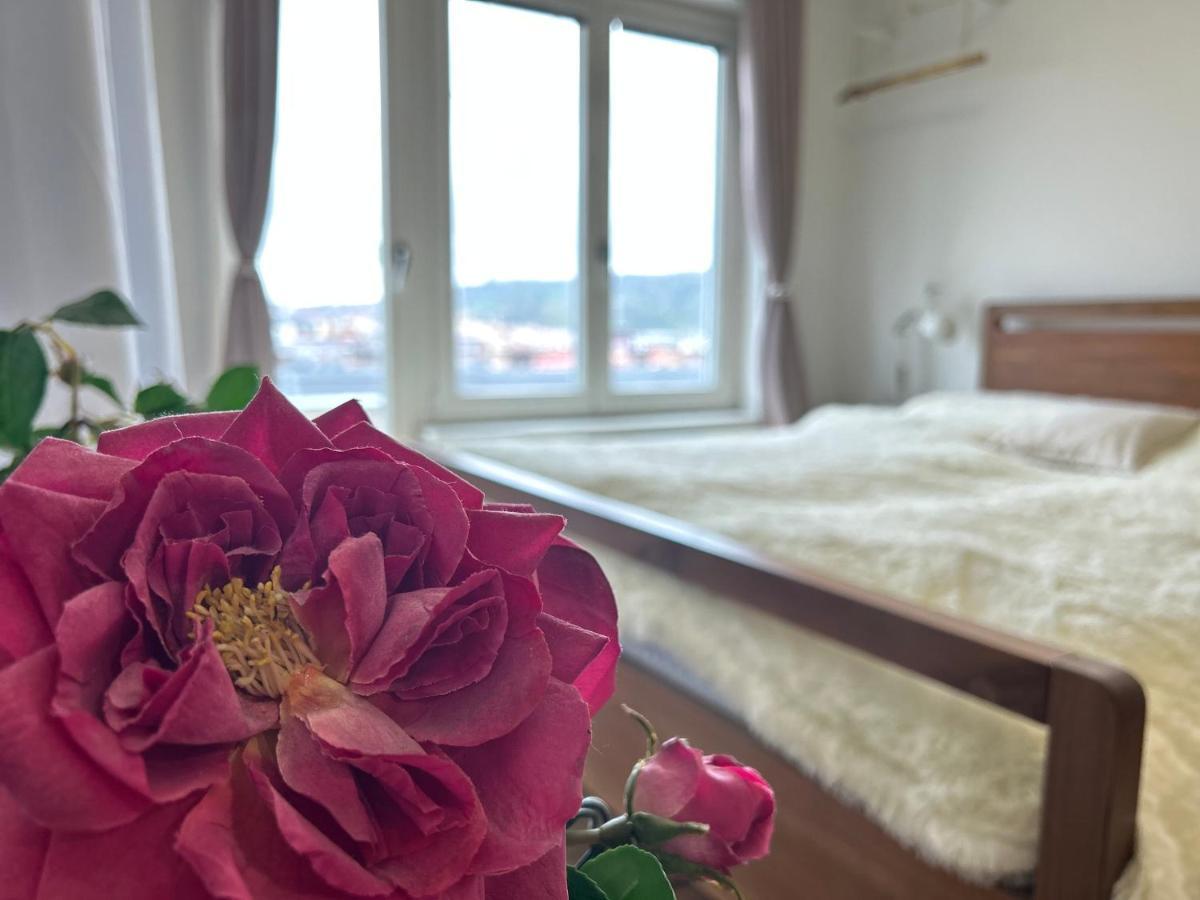 Cool Studio Apartment Prague Ngoại thất bức ảnh